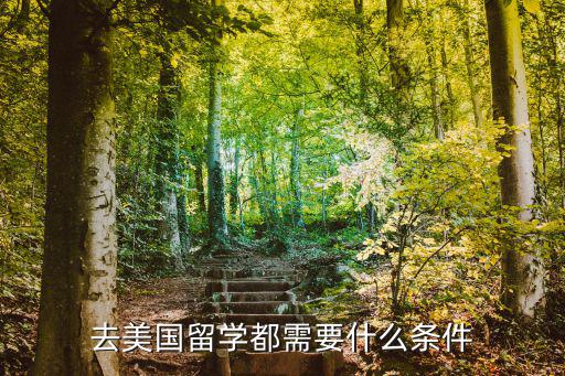 赴美留學，去美國留學都需要什么條件