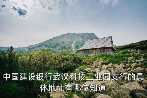 中國建設銀行武漢科技工業園支行的具體地址有哪位知道