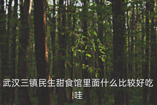武漢三鎮民生甜食館里面什么比較好吃哇