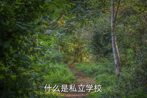 什么是私立學(xué)校