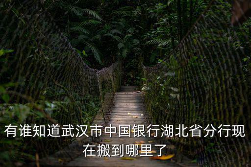 有誰知道武漢市中國銀行湖北省分行現在搬到哪里了