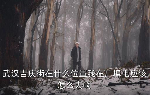 武漢吉慶街在什么位置我在廣埠屯應該怎么去啊