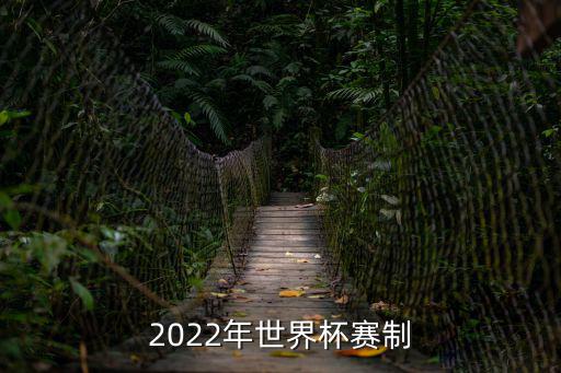 2022年世界杯賽制