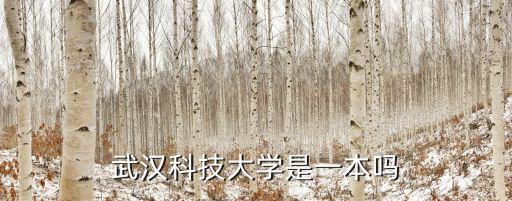 武漢科技大學(xué)是一本嗎