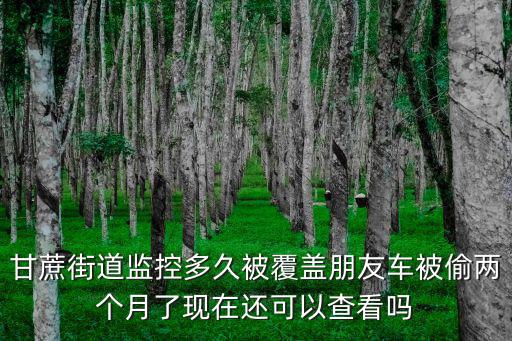 甘蔗街道監(jiān)控多久被覆蓋朋友車被偷兩個月了現(xiàn)在還可以查看嗎