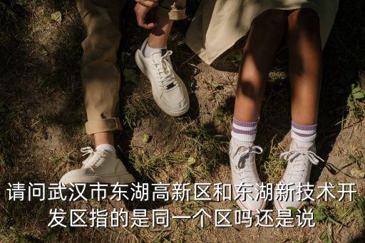 請問武漢市東湖高新區和東湖新技術開發區指的是同一個區嗎還是說