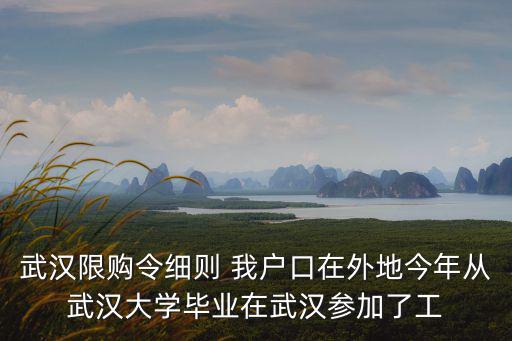 武漢限購令細(xì)則 我戶口在外地今年從武漢大學(xué)畢業(yè)在武漢參加了工