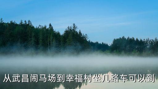 從武昌鬧馬場(chǎng)到幸福村坐幾路車(chē)可以到