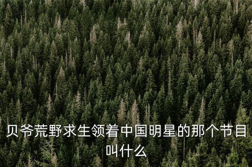 跟著貝爾去旅行，貝爺荒野求生領著中國明星的那個節目叫什么