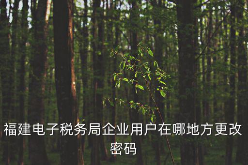 福建省網(wǎng)上稅務(wù)，福建電子稅務(wù)局企業(yè)用戶在哪地方更改密碼