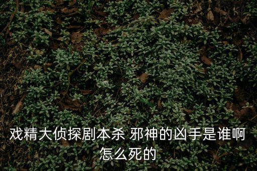 劇本殺實體店，戲精大偵探劇本殺 邪神的兇手是誰啊怎么死的
