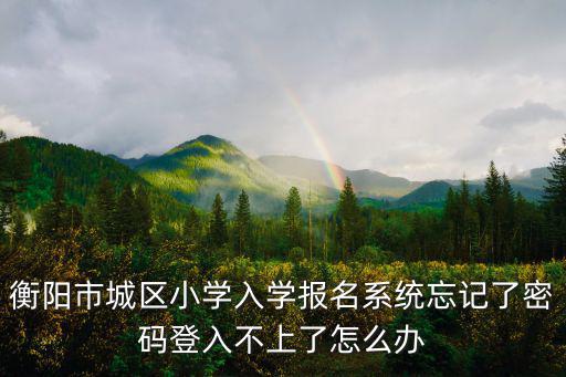 衡陽市城區小學入學報名系統忘記了密碼登入不上了怎么辦