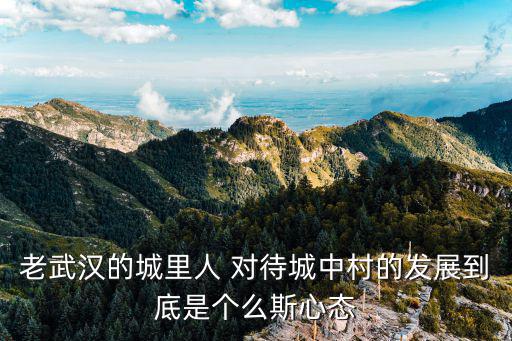 老武漢的城里人 對待城中村的發展到底是個么斯心態