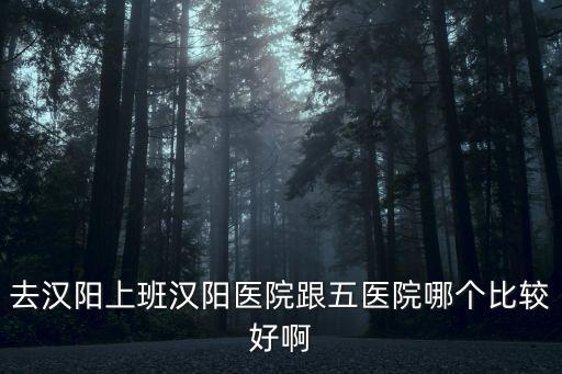 去漢陽上班漢陽醫院跟五醫院哪個比較好啊