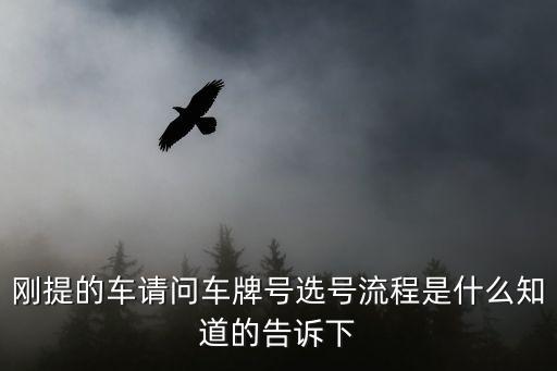 選車牌號(hào)流程，網(wǎng)上選車牌號(hào)步驟是什么是不是在網(wǎng)上選中的號(hào)碼就可以到交警隊(duì)