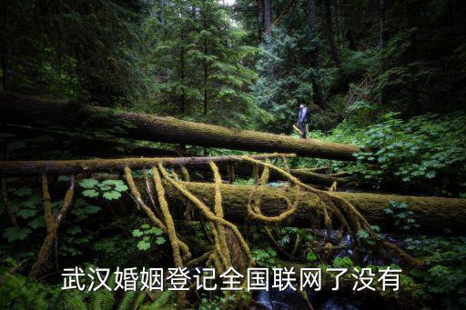 武漢婚姻登記全國聯網了沒有