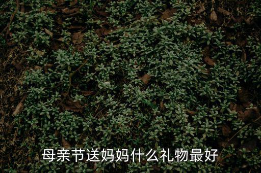 母親節(jié)禮物排行榜，母親節(jié)十大禮物推薦