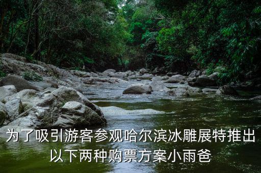 為了吸引游客參觀哈爾濱冰雕展特推出以下兩種購票方案小雨爸