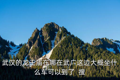 武漢的龍王廟在哪在武廣這邊大概坐什么車可以到了  搜