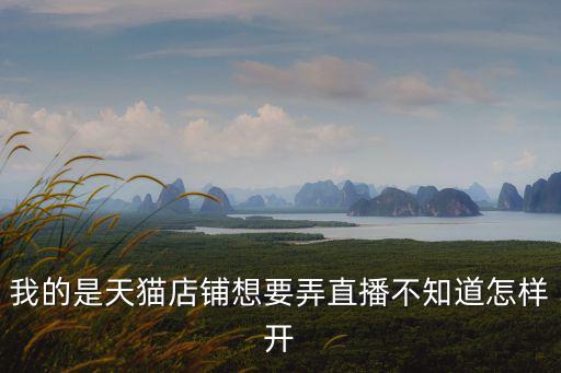 我的是天貓店鋪想要弄直播不知道怎樣開