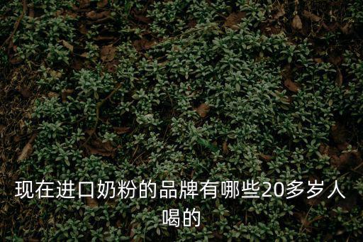 現在進口奶粉的品牌有哪些20多歲人喝的