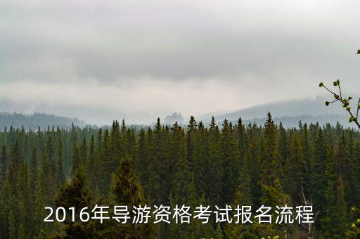 導游考試報名，2016年導游資格考試報名流程