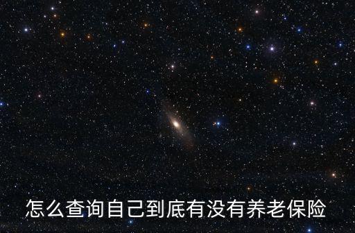 查詢養(yǎng)老保險，如何查詢個人養(yǎng)老保險金繳費明細