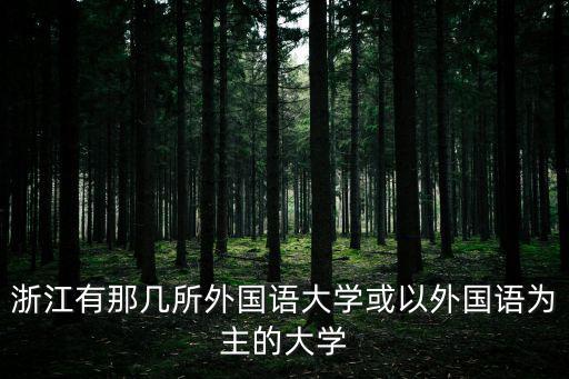 浙江外國語大學，浙江有那幾所外國語大學或以外國語為主的大學