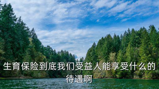 生育保險(xiǎn)到底我們受益人能享受什么的待遇啊