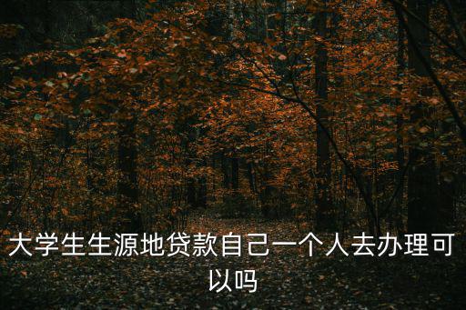 大學生生源地貸款自己一個人去辦理可以嗎