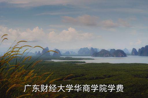 廣東財經大學華商學院學費