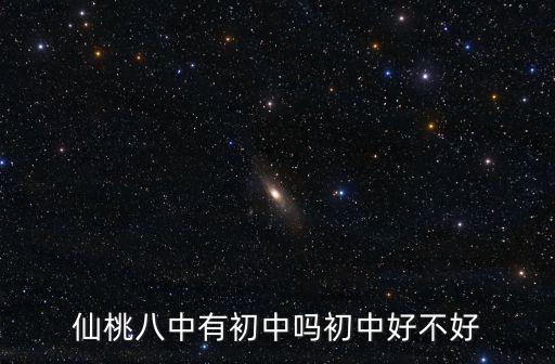 仙桃八中有初中嗎初中好不好