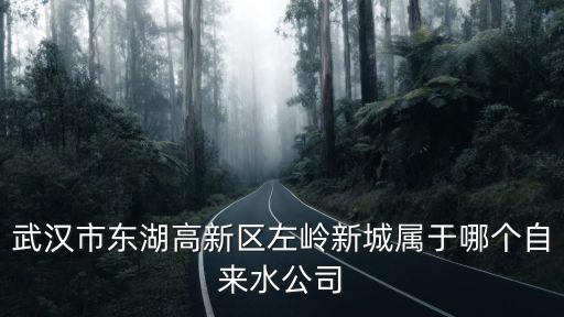 武漢市東湖高新區(qū)左嶺新城屬于哪個自來水公司