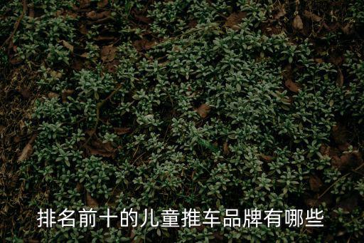 嬰兒車排行榜，什么牌子的嬰兒推車質(zhì)量最好