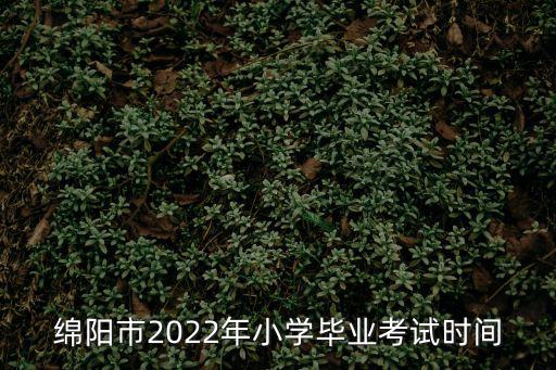 小學畢業考試，小學畢業考試考的是什么內容呀從一年級到六年級好多內容呀