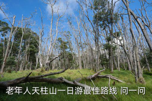 老年人天柱山一日游最佳路線 問一問