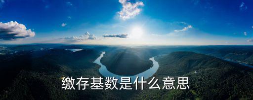 繳存基數是什么意思