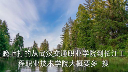 晚上打的從武漢交通職業學院到長江工程職業技術學院大概要多  搜