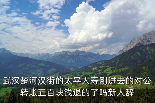 武漢楚河漢街的太平人壽剛進去的對公轉賬五百塊錢退的了嗎新人辭