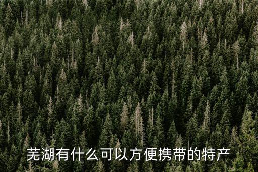 蕪湖有什么可以方便攜帶的特產
