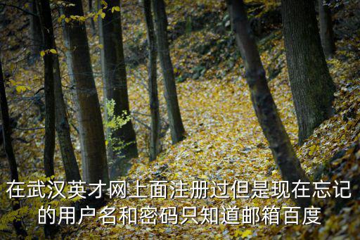 在武漢英才網(wǎng)上面注冊(cè)過(guò)但是現(xiàn)在忘記的用戶名和密碼只知道郵箱百度