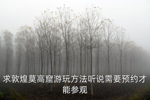 求敦煌莫高窟游玩方法聽說需要預約才能參觀