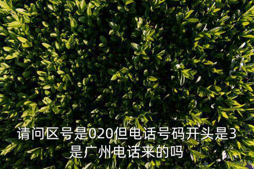 區號020，020是哪里的電話