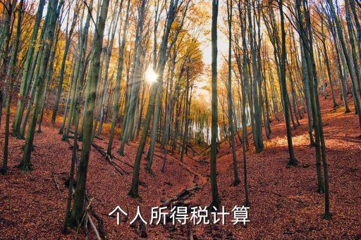 個人所得稅計算