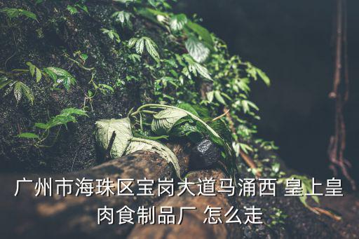 廣州市海珠區寶崗大道馬涌西 皇上皇肉食制品廠 怎么走