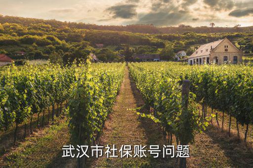 武漢市社保賬號(hào)問題