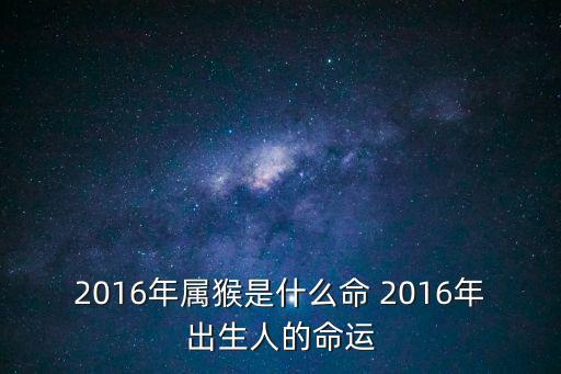 2016年屬猴是什么命 2016年出生人的命運