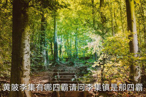黃陂李集有哪四霸請問李集鎮是那四霸