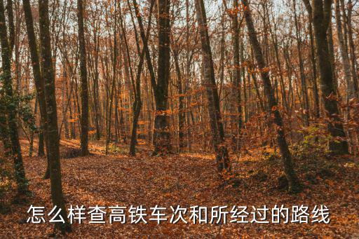 怎么樣查高鐵車次和所經過的路線