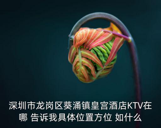 深圳市龍崗區(qū)葵涌鎮(zhèn)皇宮酒店KTV在哪 告訴我具體位置方位 如什么